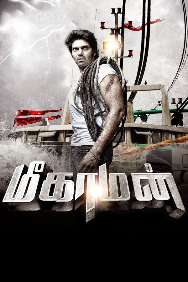 SOM - Meaghamann  (2014)