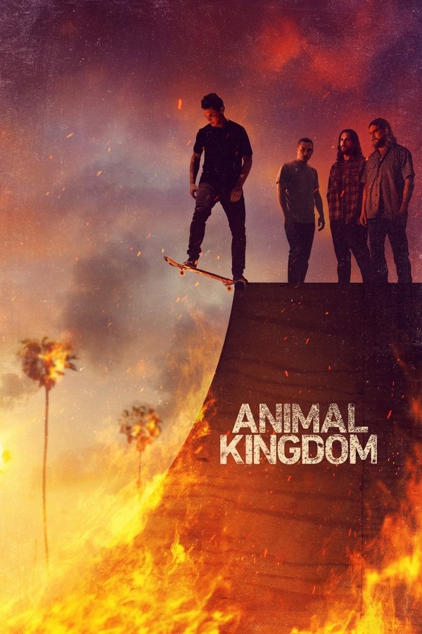 [SE] Animal Kingdom