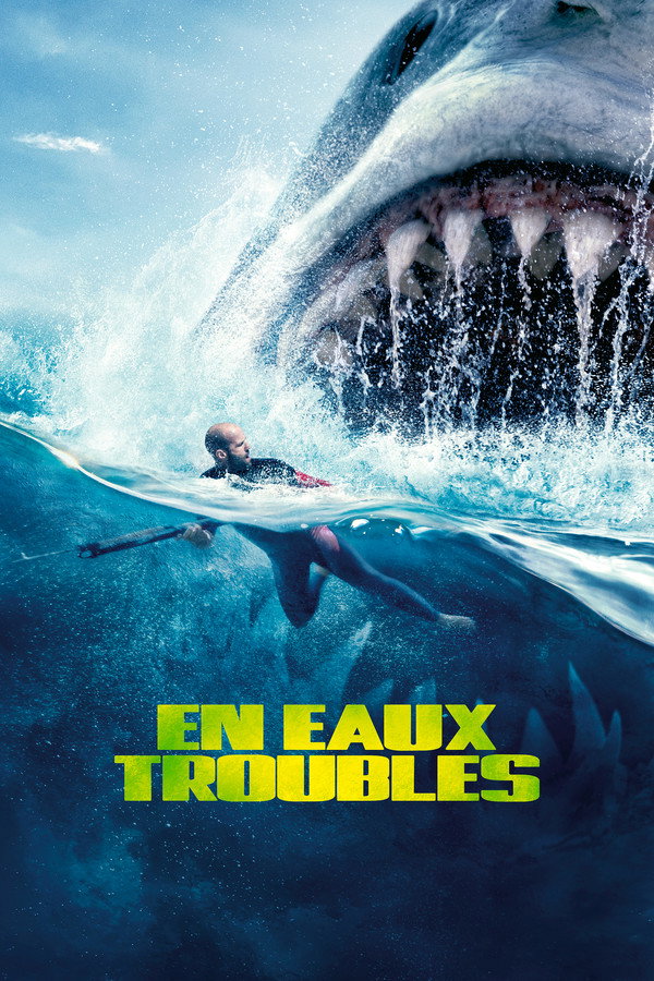 FR - En eaux troubles (2018)