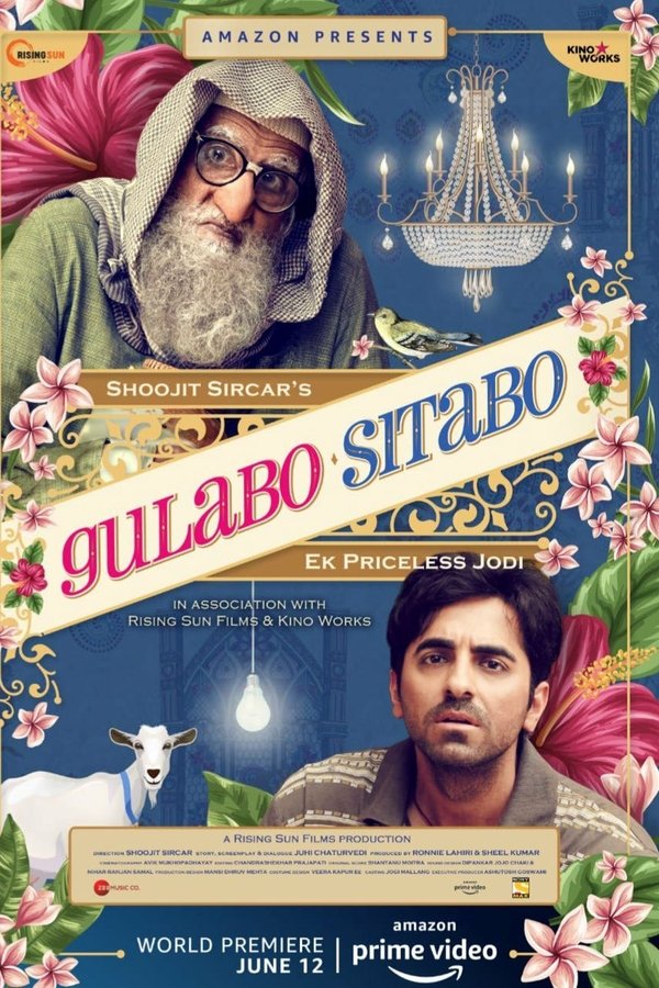 PK - Gulabo Sitabo  (2020)