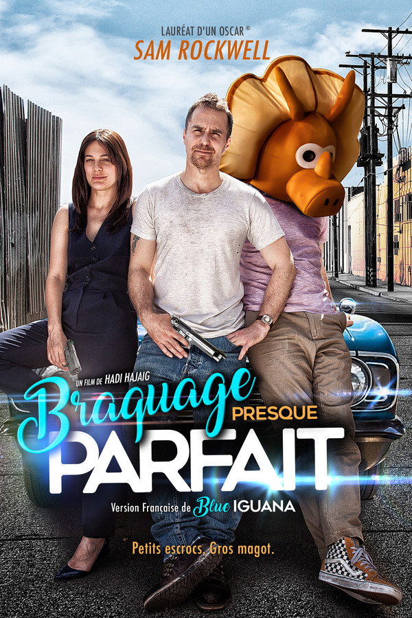 FR - Braquage presque parfait (2018)