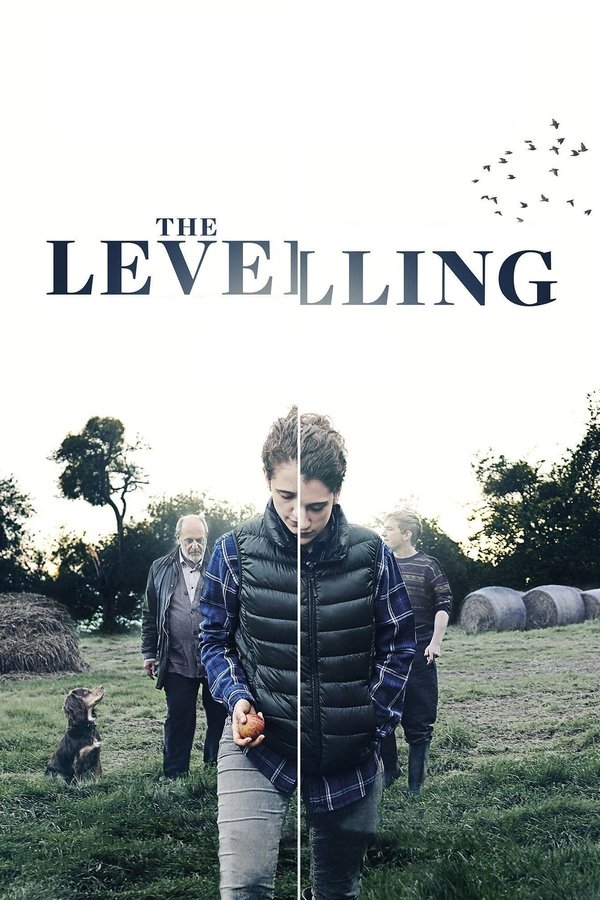 RO - The Levelling  (2017)