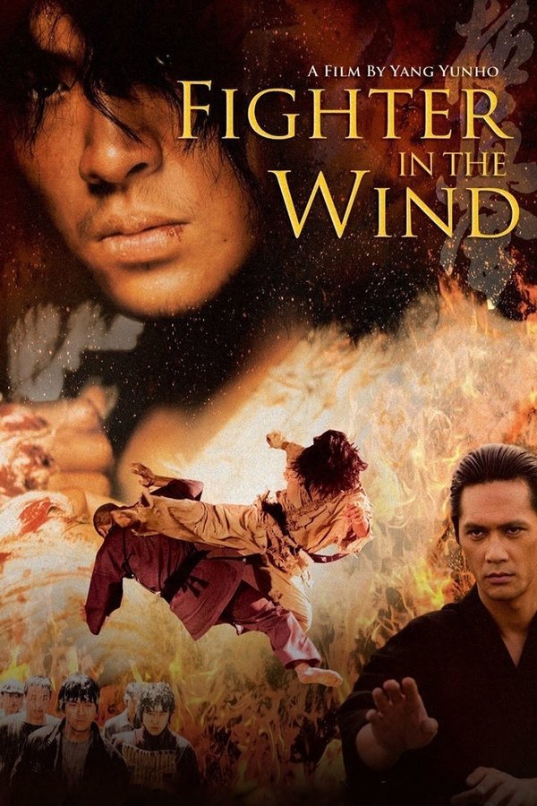 IN - Fighter in the Wind (2004)