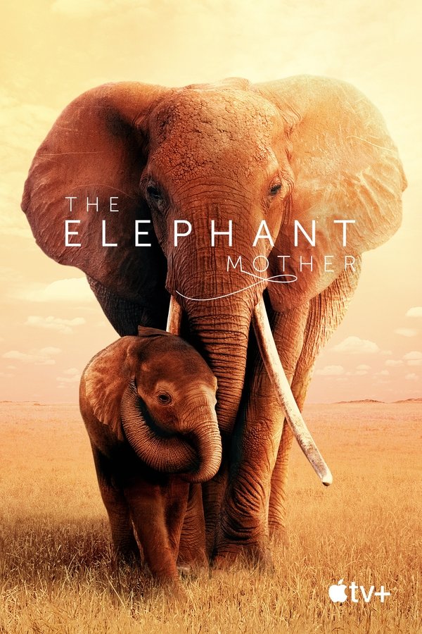 FR - The Elephant Mother (2019)