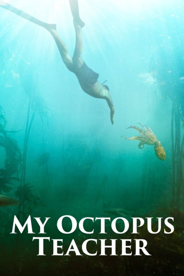 EN  - My Octopus Teacher  (2020)