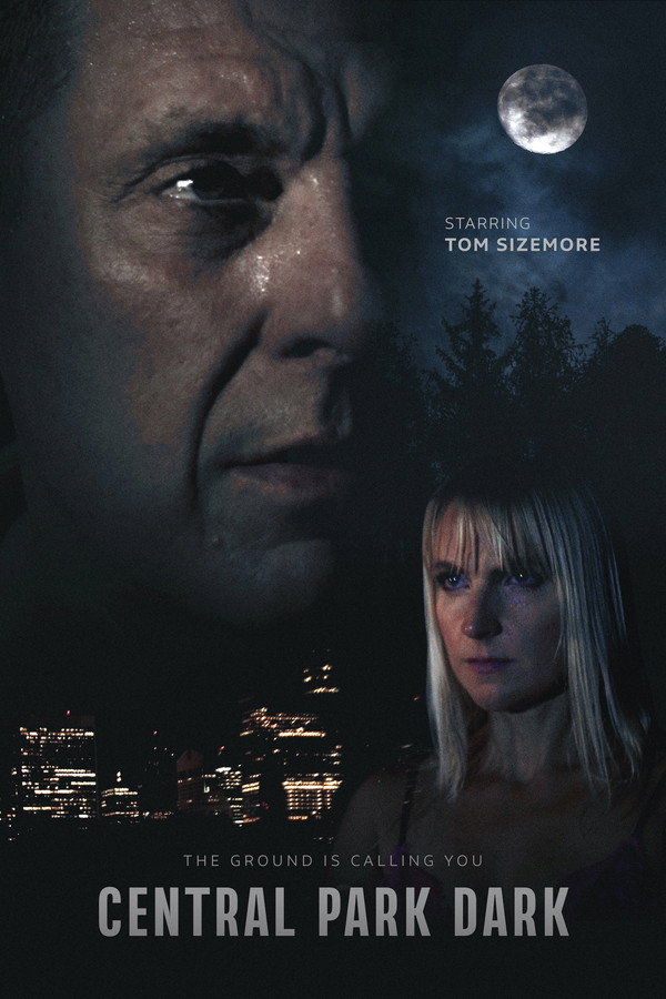 AR - Central Park Dark  (2021)