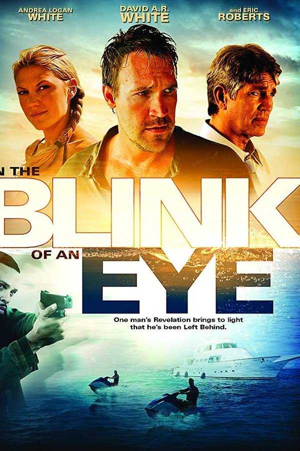 NL - IN THE BLINK OF AN EYE (2009)
