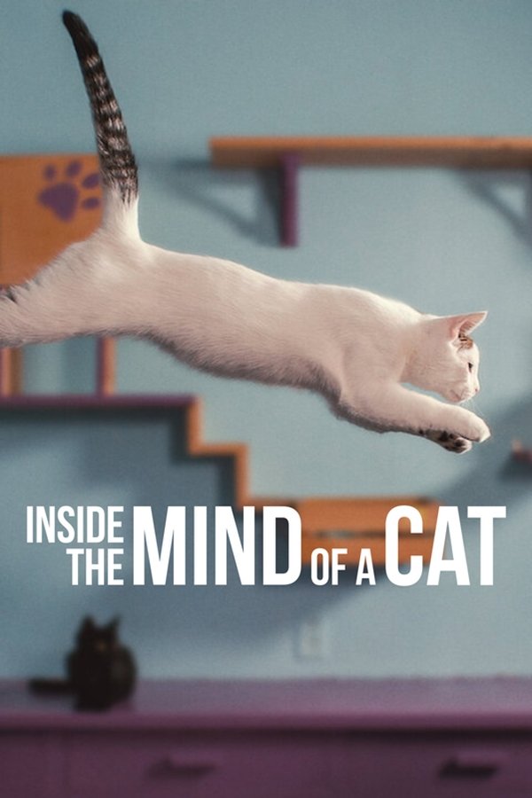 AR - Inside the Mind of a Cat  (2022)