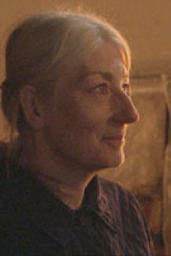IN - Fired  (2010)