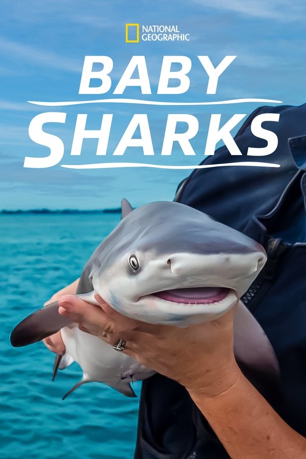 PL - BABY SHARKS (2022) DOKUMENT