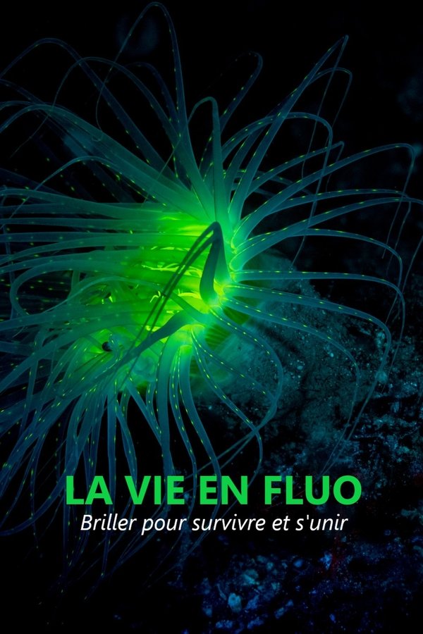 FR - La vie en fluo (2025) (FR)