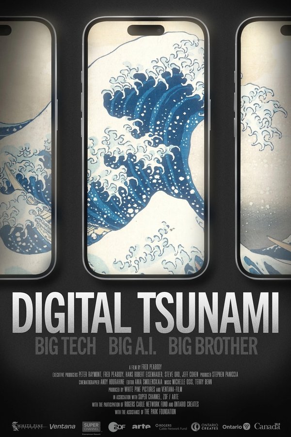 un tsunami sur le web (2025)