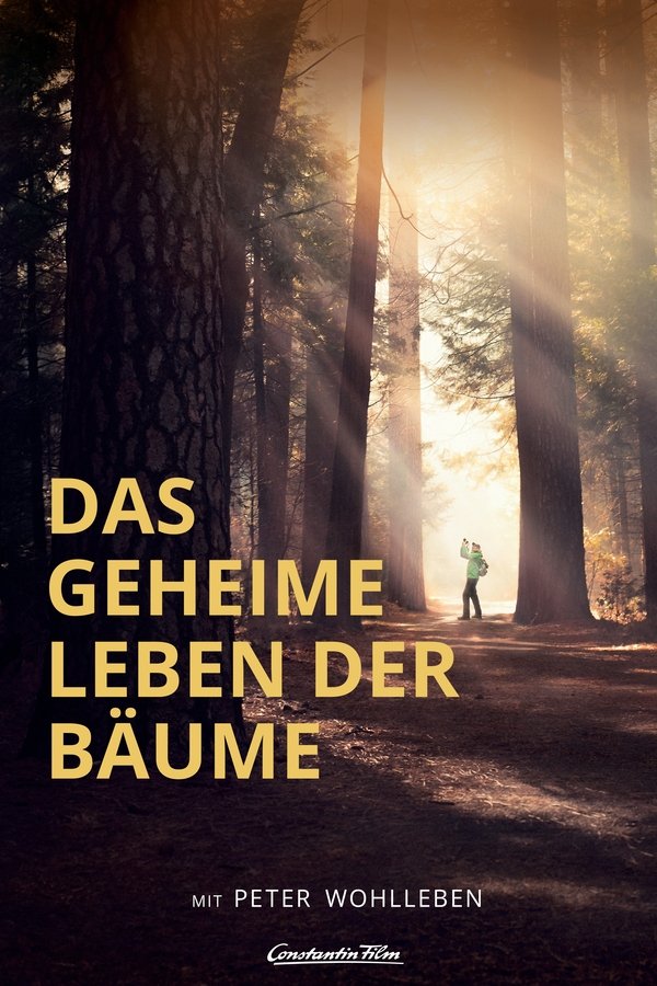 DE - Das geheime Leben der Bäume (2020)