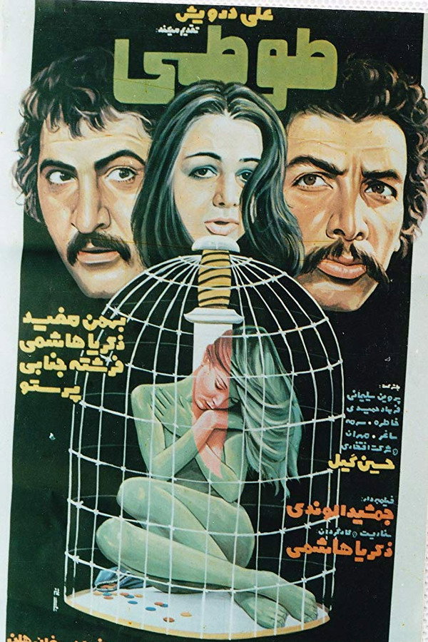 IR - Tooti طوطی