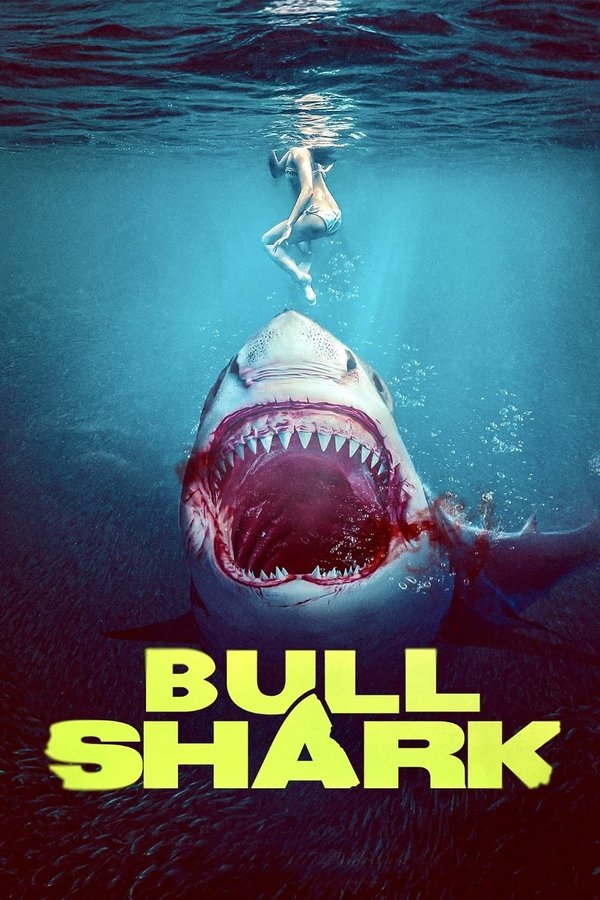 AR - Bull Shark (2023)