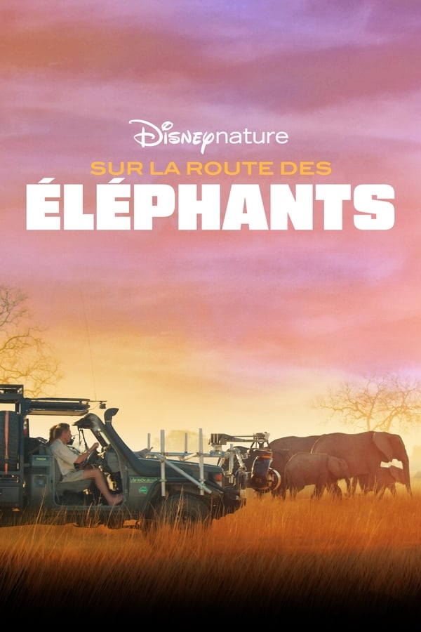 FR - In the Footsteps of Elephant  (2020)