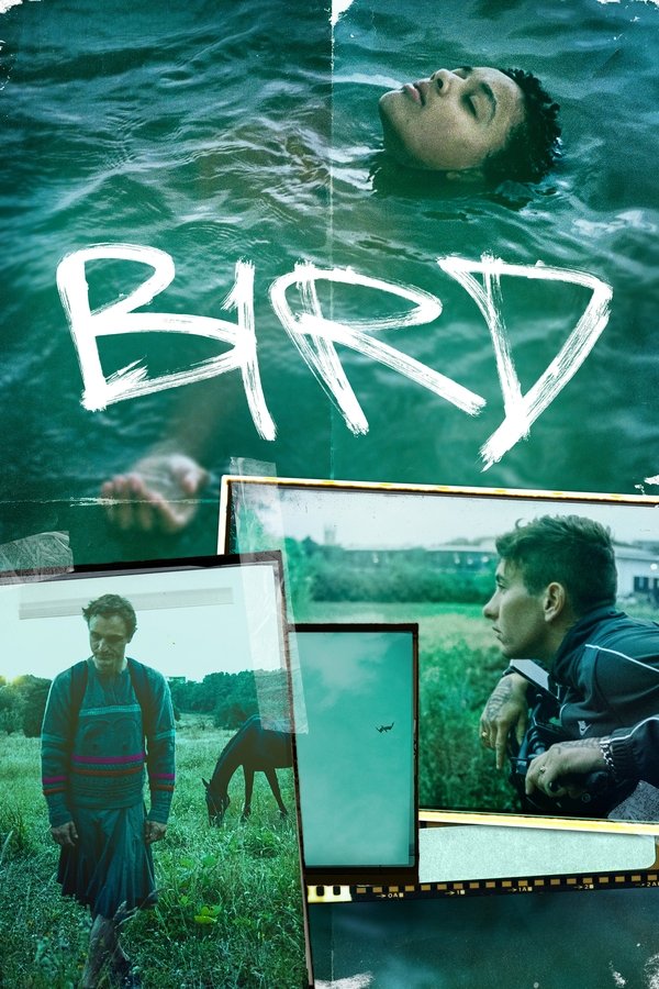 SE - Bird