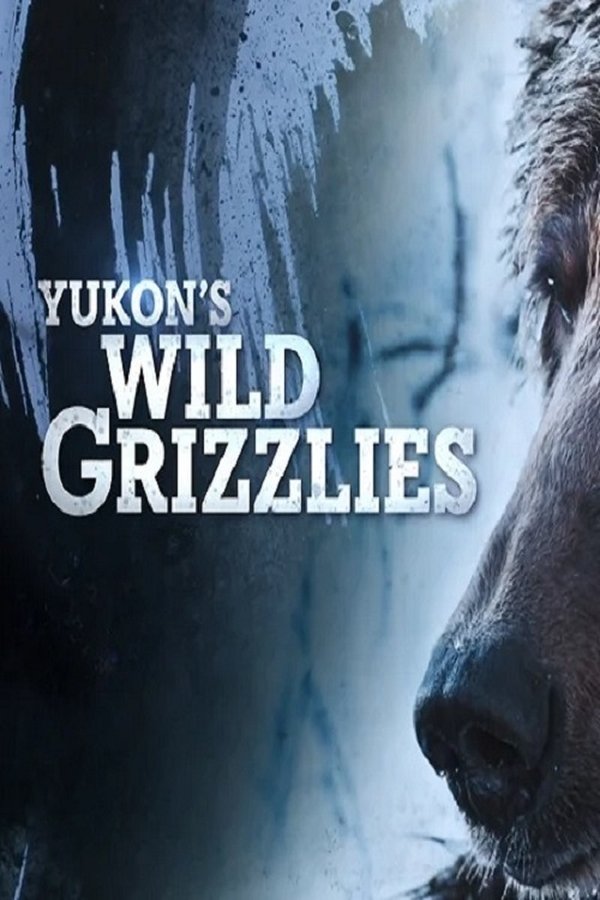 AR - Yukon's Wild Grizzlies  (2021)