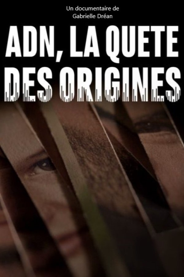 la quête des origines  (2019)