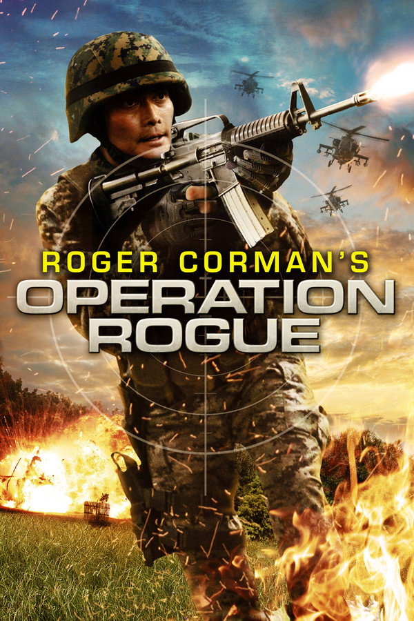 IN - Operation Rogue (2014)