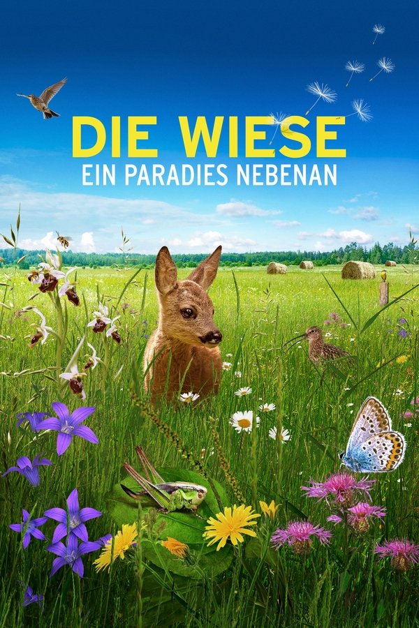DE - Die Wiese: Ein Paradies nebenan (2019)