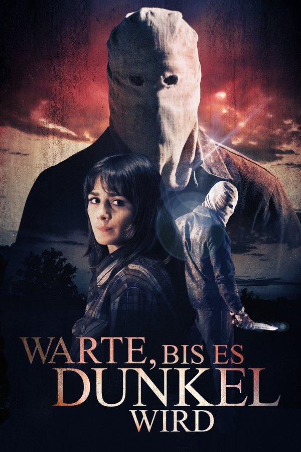bis es dunkel wird (2014)