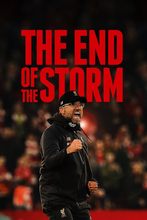 EX - The End of the Storm (2020)