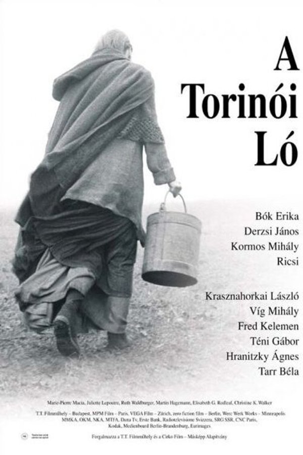 AR - The Turin Horse (2011)
