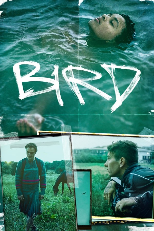 DE - Bird (2024)