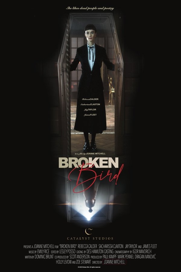 AR - Broken Bird (2024)