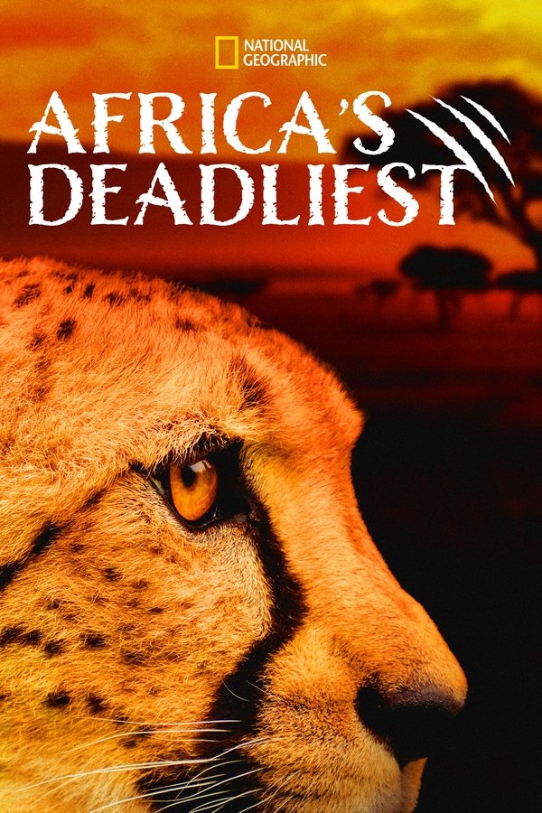 D+ - Africa's Deadliest