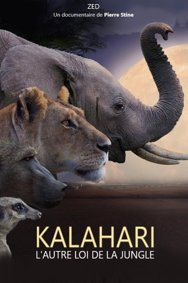 l'autre loi de la jungle P1 (2021)