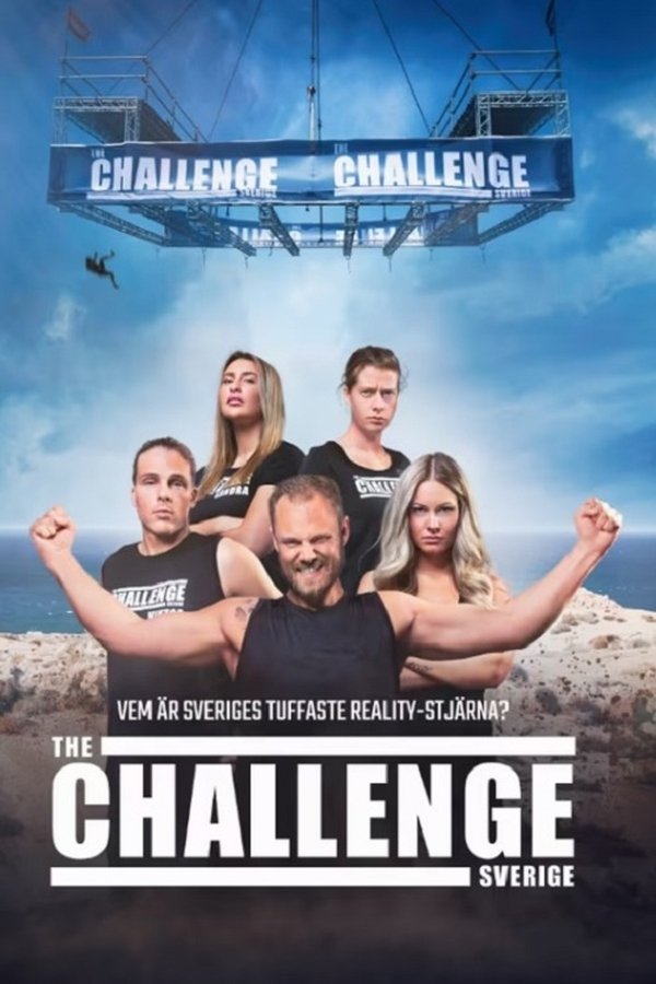 [SE] The Challenge