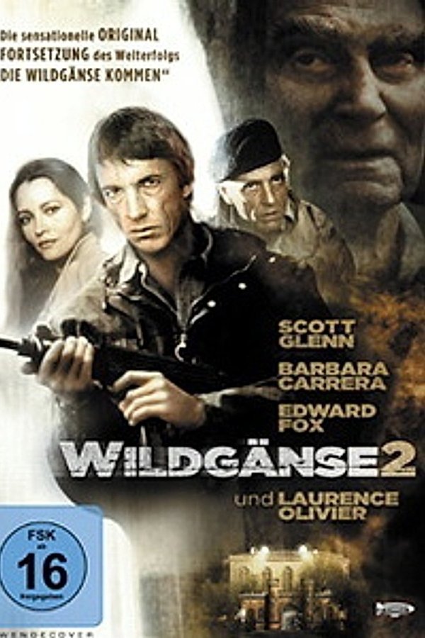 DE - Wildgänse 2 (1985)