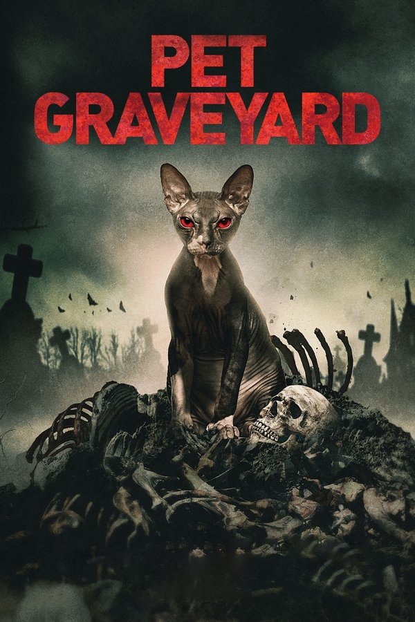 DE - Friedhof am Ende der Welt (2019)