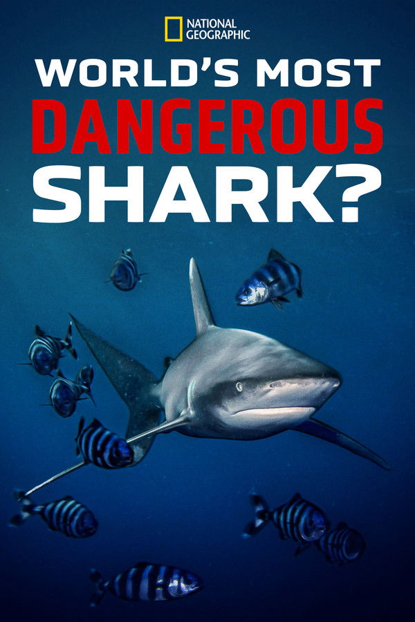 EN - World's Most Dangerous Shark? (2023)