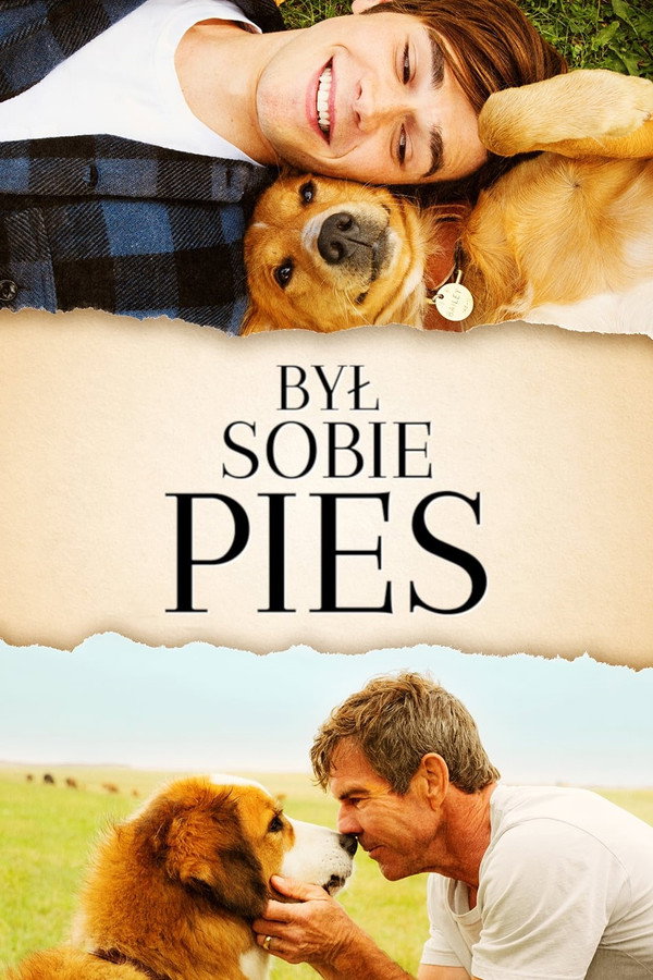 PL - BYŁ SOBIE PIES (2017) DUBBING