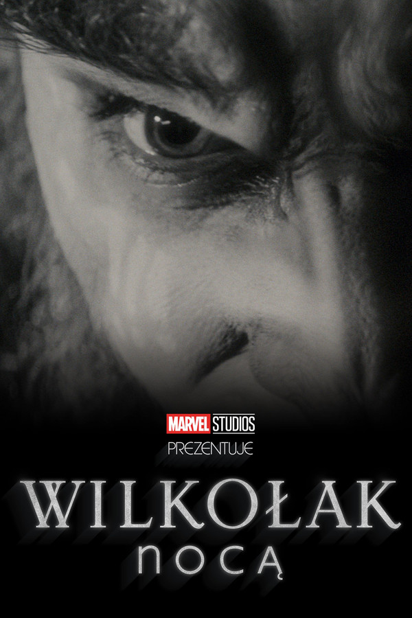 PL - WILKOŁAK NOCĄ W KOLORZE (2022)
