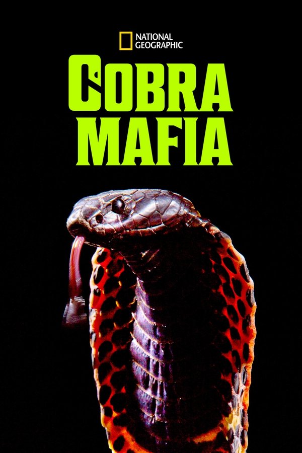 EN - Cobra Mafia (2015)