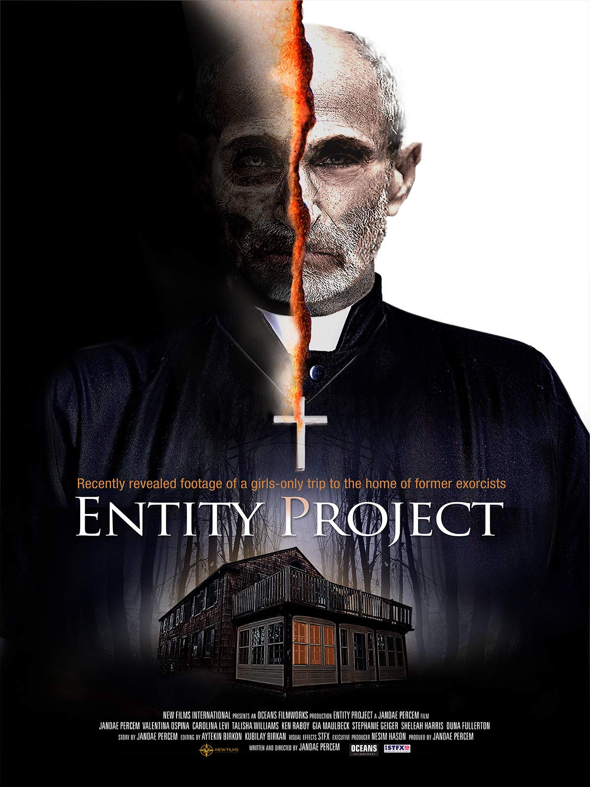PL - ENTITY PROJECT (2019)