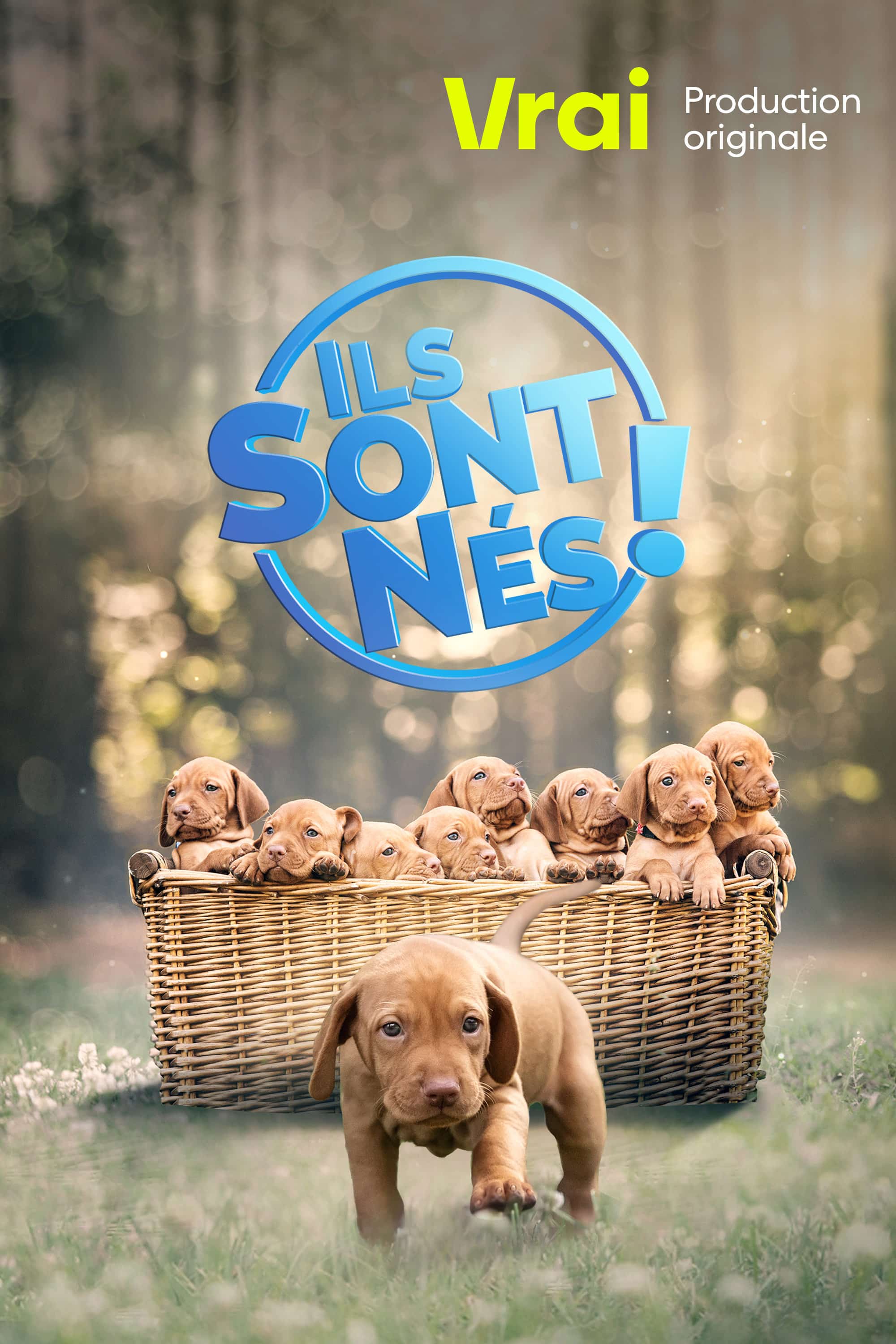QFR - Ils sont nés!
