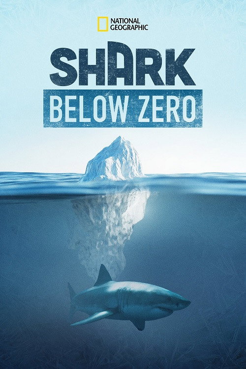 EN - Shark Below Zero (2023)
