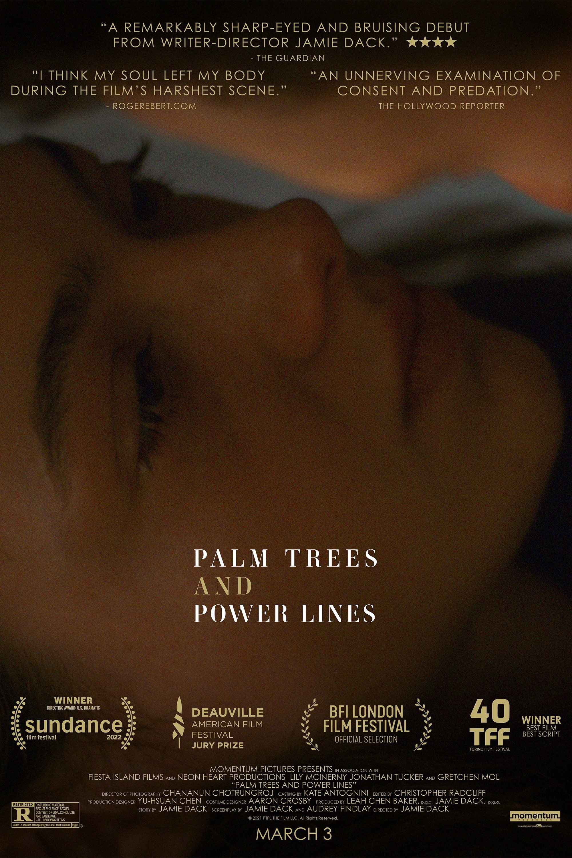 EN - Palm Trees And Power Lines (2023)