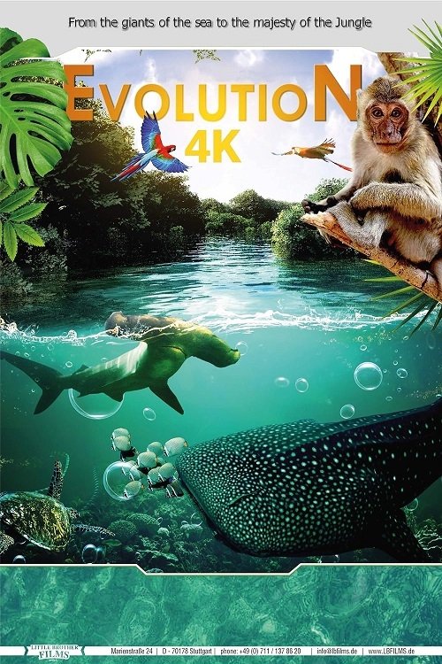 EN - Evolution 4K (2018)