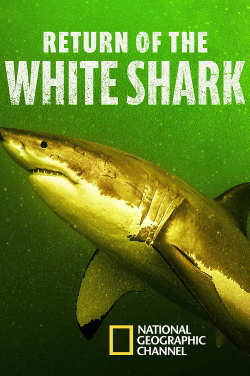 EN - Return Of The White Shark (2023)