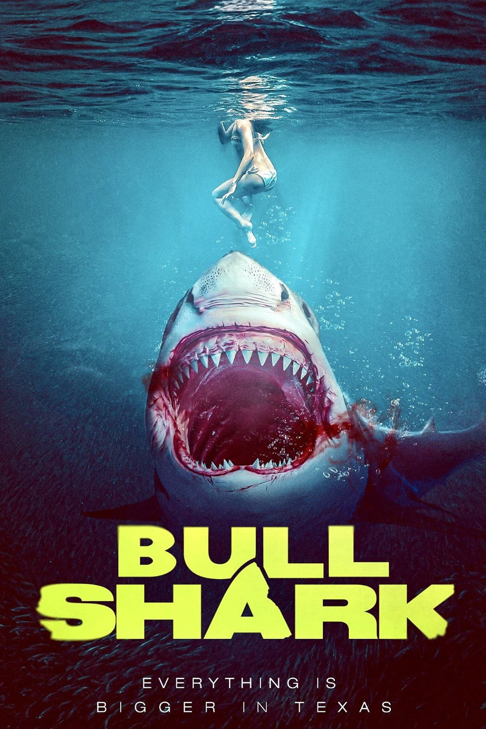EN - Bull Shark (2022)