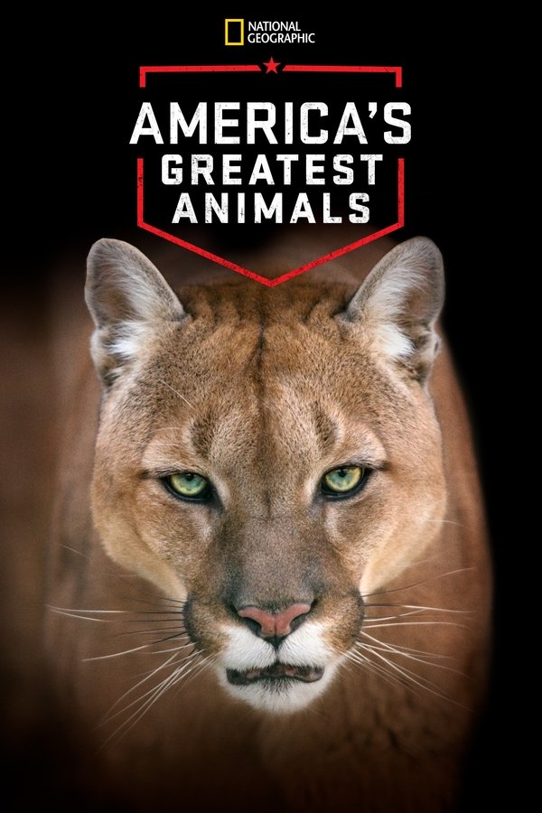 EN - America's Greatest Animals  (2012)