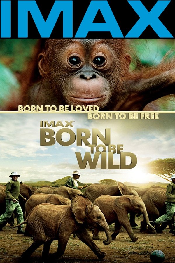 EN - IMAX Born To Be Wild  (2011)