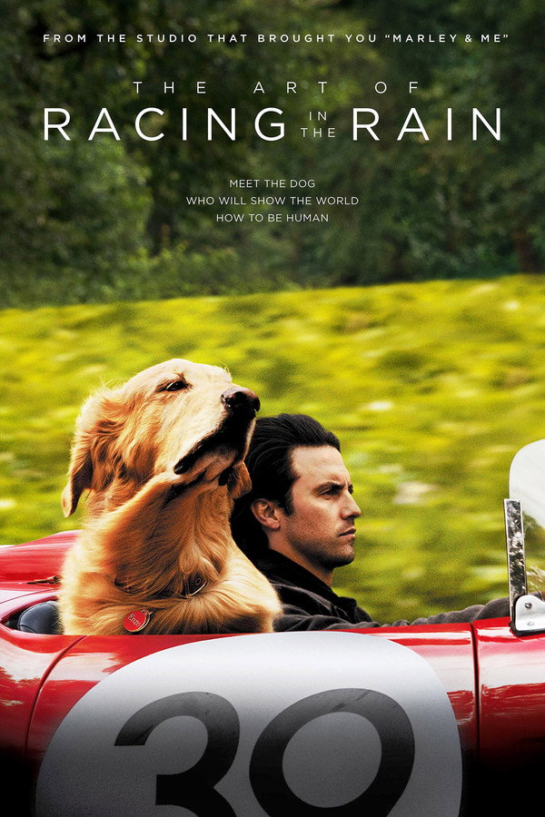 EN - The Art Of Racing In The Rain (2019) KEVIN COSTNER
