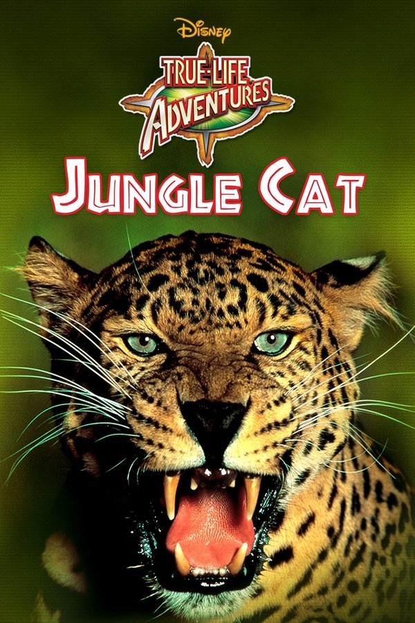 EN - Jungle Cat